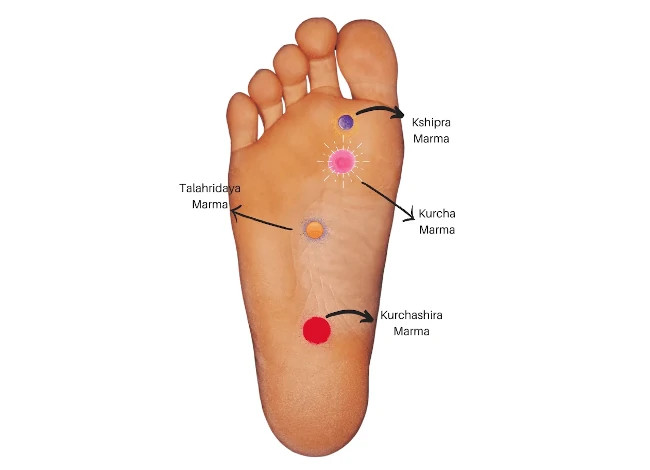 Roadmap to Foot Marma Points
