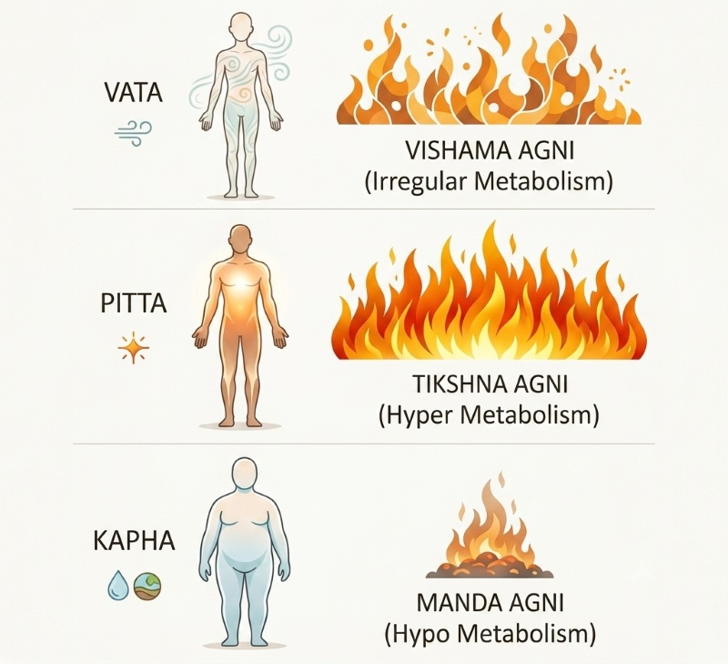 Understanding agni and doshas