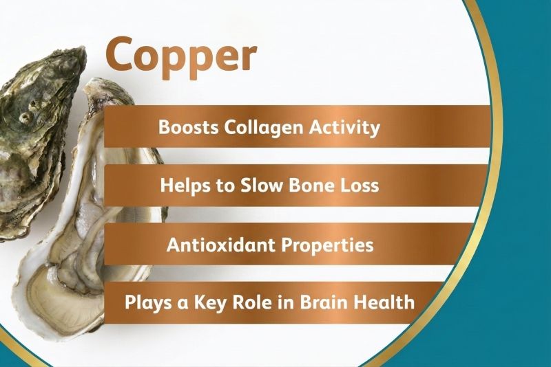 Copper is a powerful antioxidant