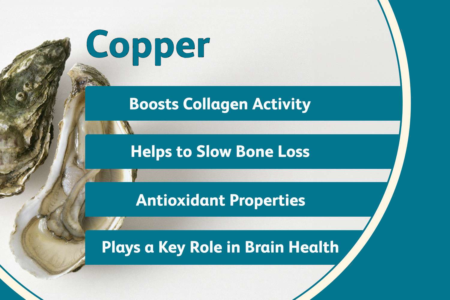copper is a powerful antioxidant