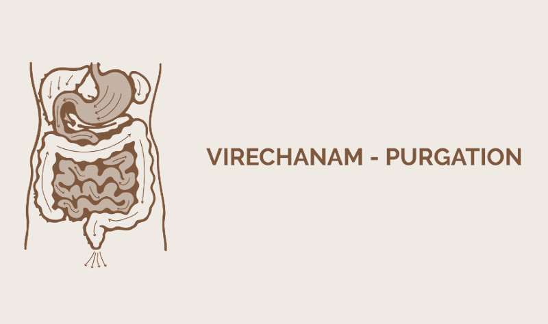 Virechana in Panchakarma
