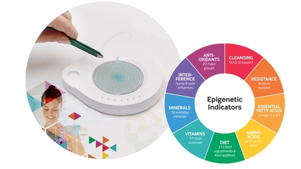 Epigenetic Hair Analysis wellness assessment at AyurVida Wellness